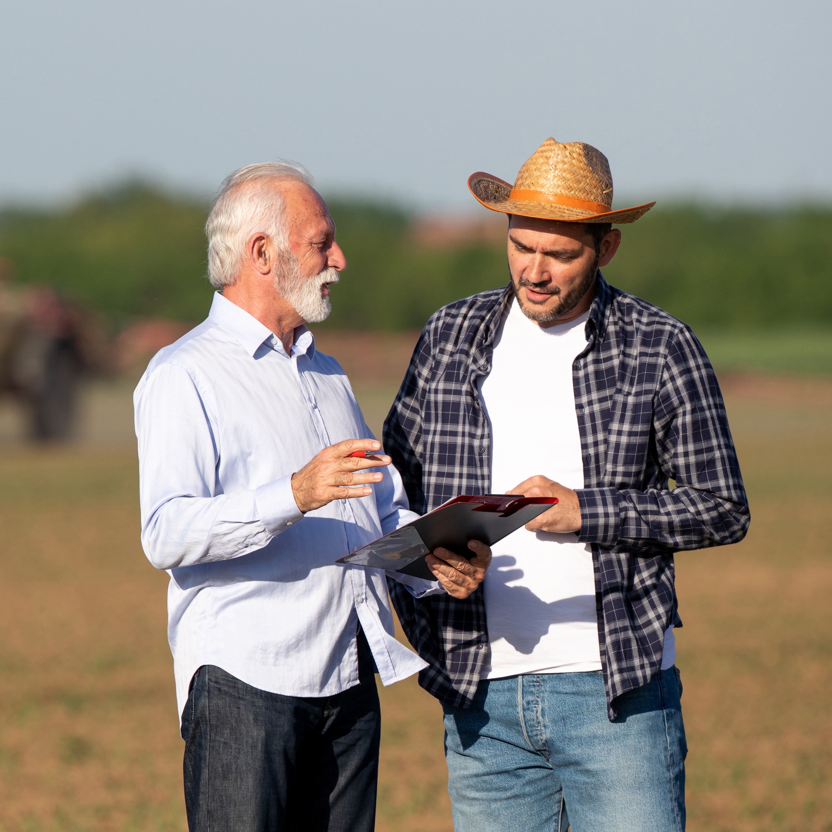 Two men standing in field talking pointing explaining clipboard. Farmer and insurance sales rep representative negotiating.