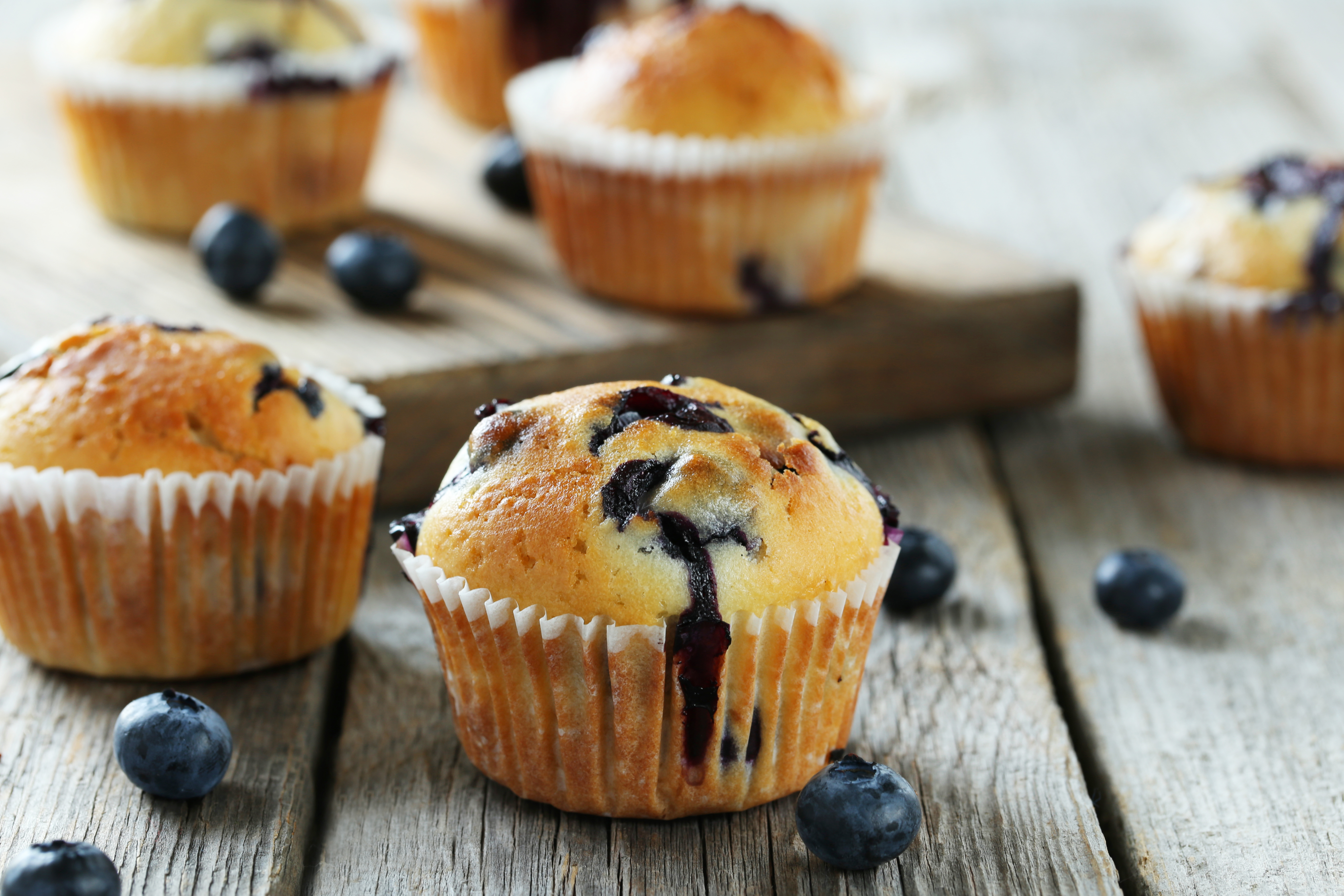 Tasty blueberry muffins on a grey wooden background